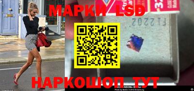 шишки Бийск