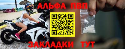 шишки Бийск