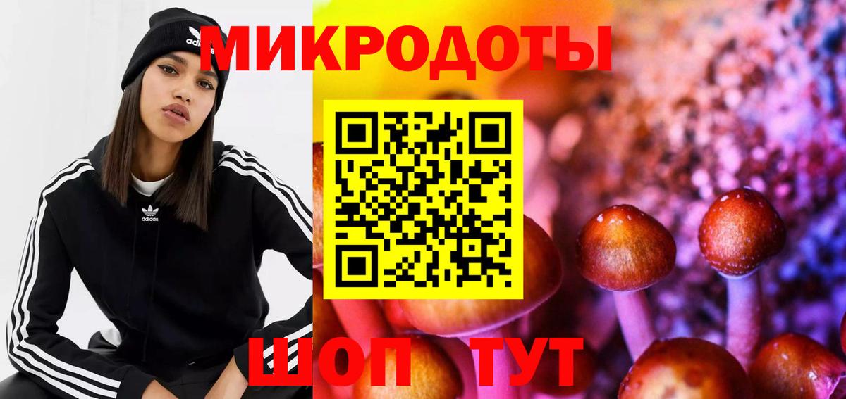 Галлюциногенные грибы MAGIC MUSHROOMS  Вход с VPN  Кизилюрт 